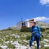 Amina